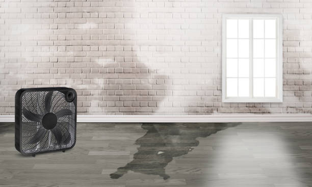 Best Fire Damage Restoration  in East Sandwich, MA