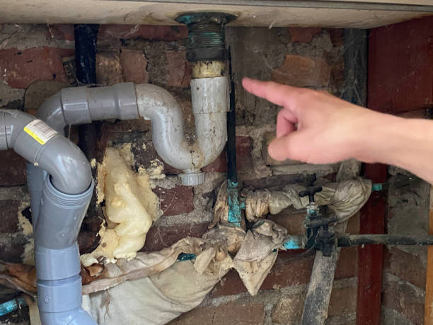 Best Mold removal after water damage  in East Sandwich, MA